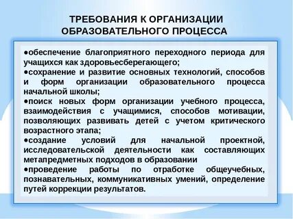 Учебный процесс в образовательной организации