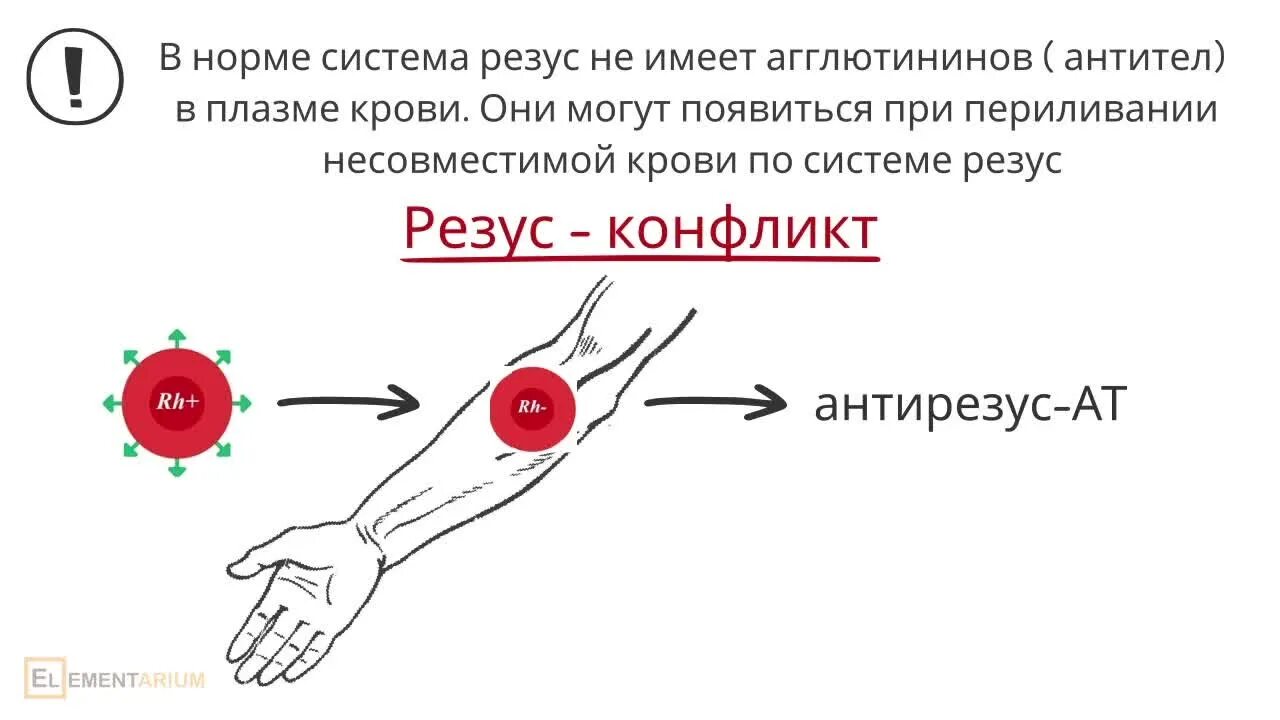 Кровь положительный лучше или отрицательный. Резус конфликт при переливании крови. Агглютинины в плазме крови. Антирезус конфликт. При резусе – конфликте в плазме крови образуются антитела.