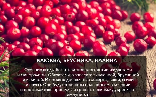 Клюква и брусника разница. Рябина Калина брусника клюква. Калина брусника и клюква. Брусника брусника клюква.