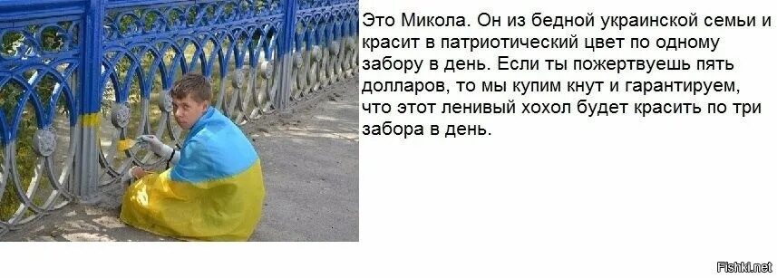 Хохлы про крокус. Приколы про украинцев. Ленивый хохол. Хитрый хохол. Хохлы смешные картинки.