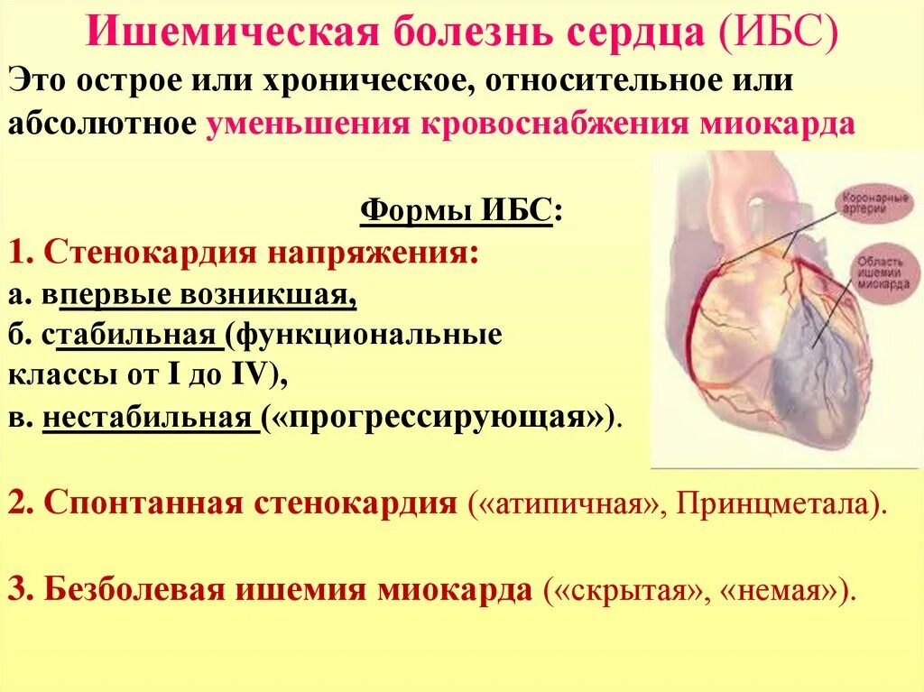 Ишемическое сосудистое заболевание. Ишемическая болезнь сердца симптомы. Ишемическая болезнь сердца (ИБС). Синдром ишемической болезни сердца симптомы. Ишемическая болезнь сердца, ее формы, проявления..