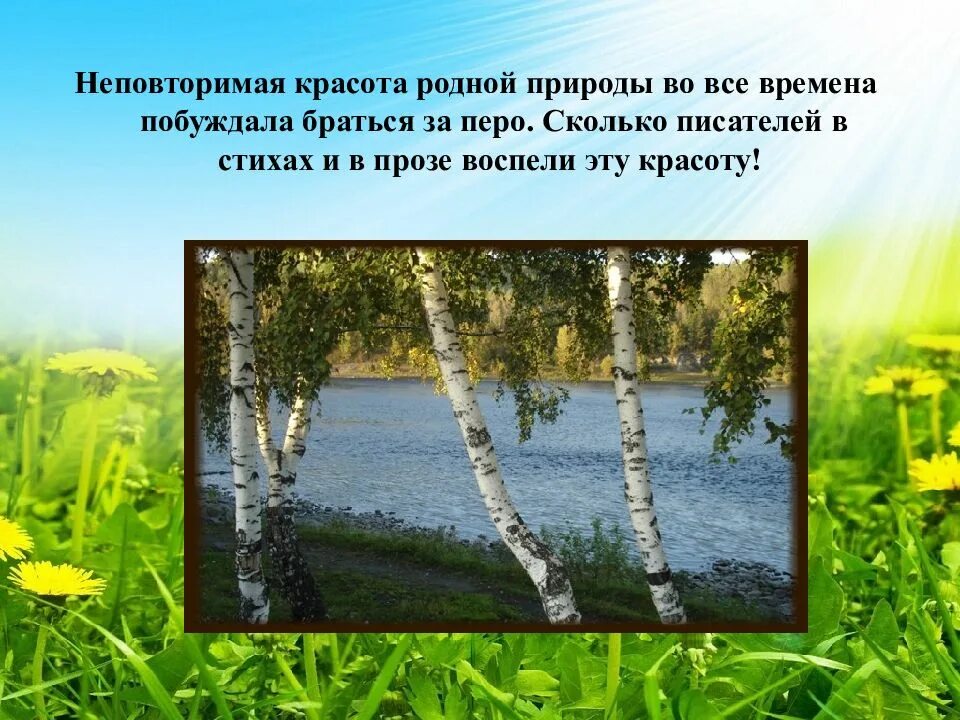 Какой изображает автор родную землю. Произведения писателей о красоте природы. Стихи о красоте природы. Природа родного края. Красота русской природы и родного края.