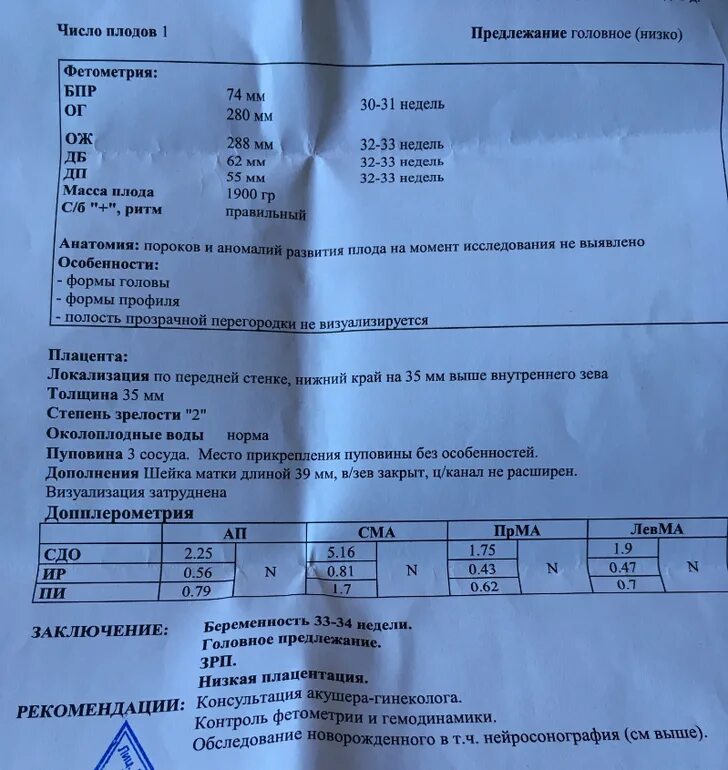 Недели третьего скрининга. Бпр плода 3 скрининг. показатели 3 скрининга.