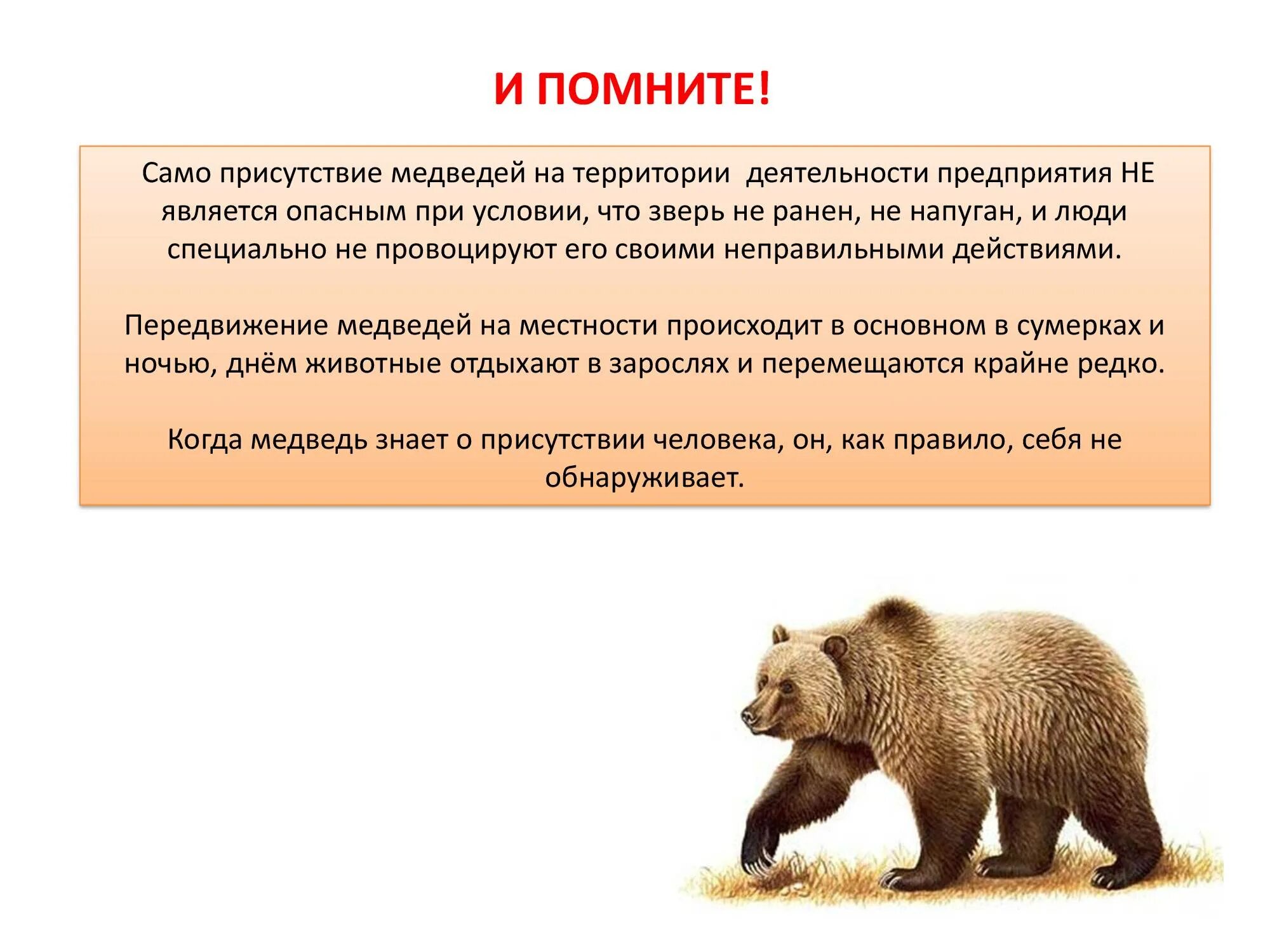 Правила поведения при встрече с дикими животными. Поведение при встрече с дикими животными. памятка поведения при встрече с дикими животными. при встрече с диким животным. памятка при встрече с диким животным.