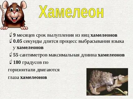 Месяц периодичность