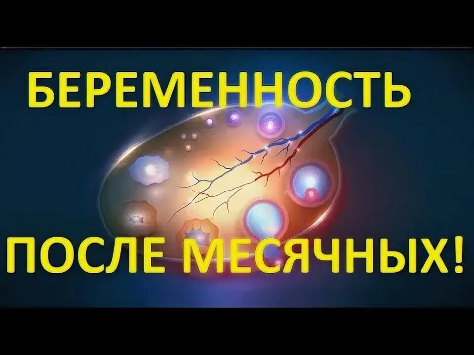 Можно ли забеременеть при последнем дне месячных. Можно ли забеременеть при последнем дне месячных