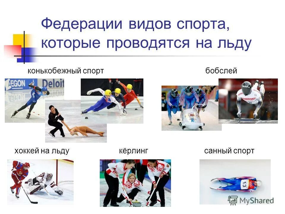 керлинг командный вид спорта. керлинг вид спорта. олимпийские виды спорта на льду. олимпийские виды спорта на льду. шорт трек олимпийский вид спорта.