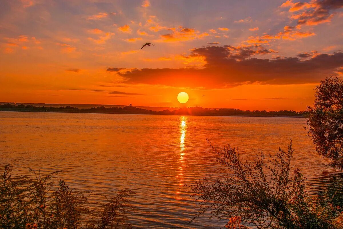 Заход солнца в августе. Природа с лучами солнца. Заход солнца в августе. Рассвет солнца. Августовский закат.