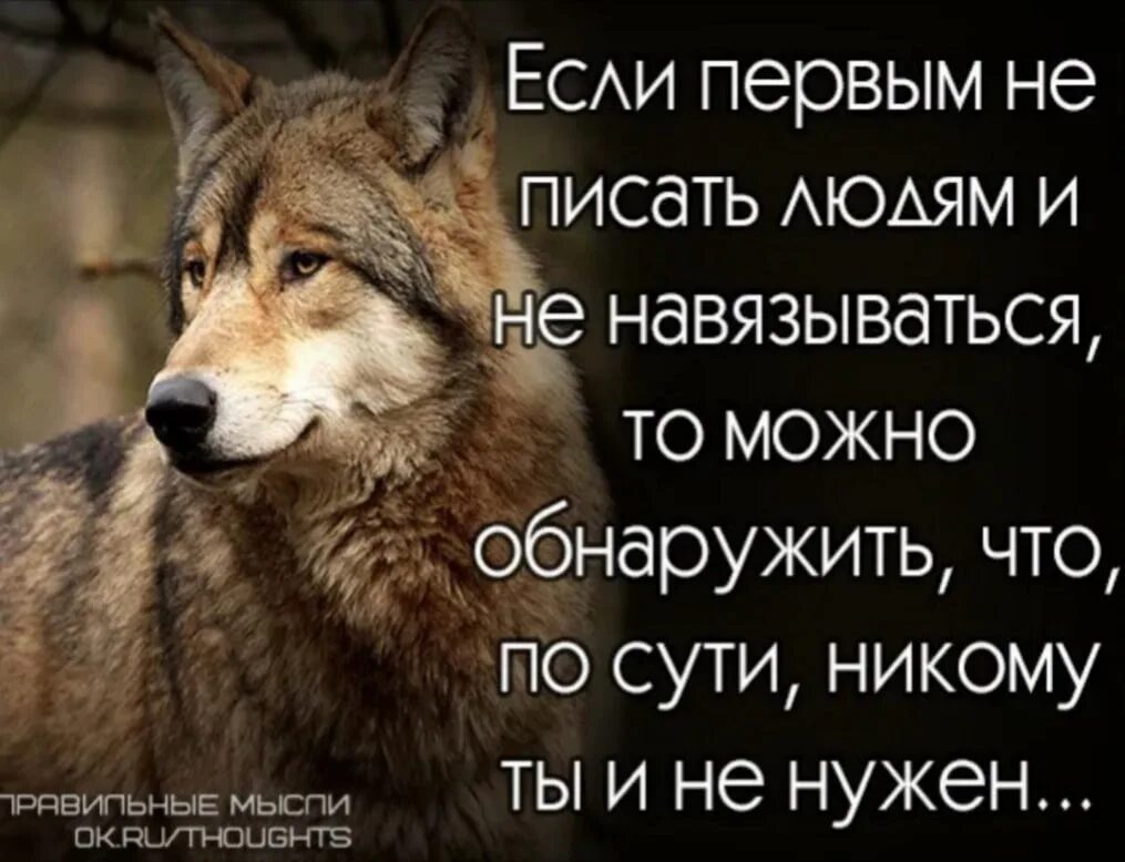 И если может то. Ксои первым не писать людям. Если первым не писать людям и не навязываться. Навязываться к человеку. Я больше не навязываюсь людям.