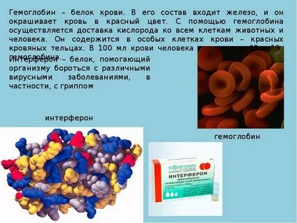 Гемоглобин общий это
