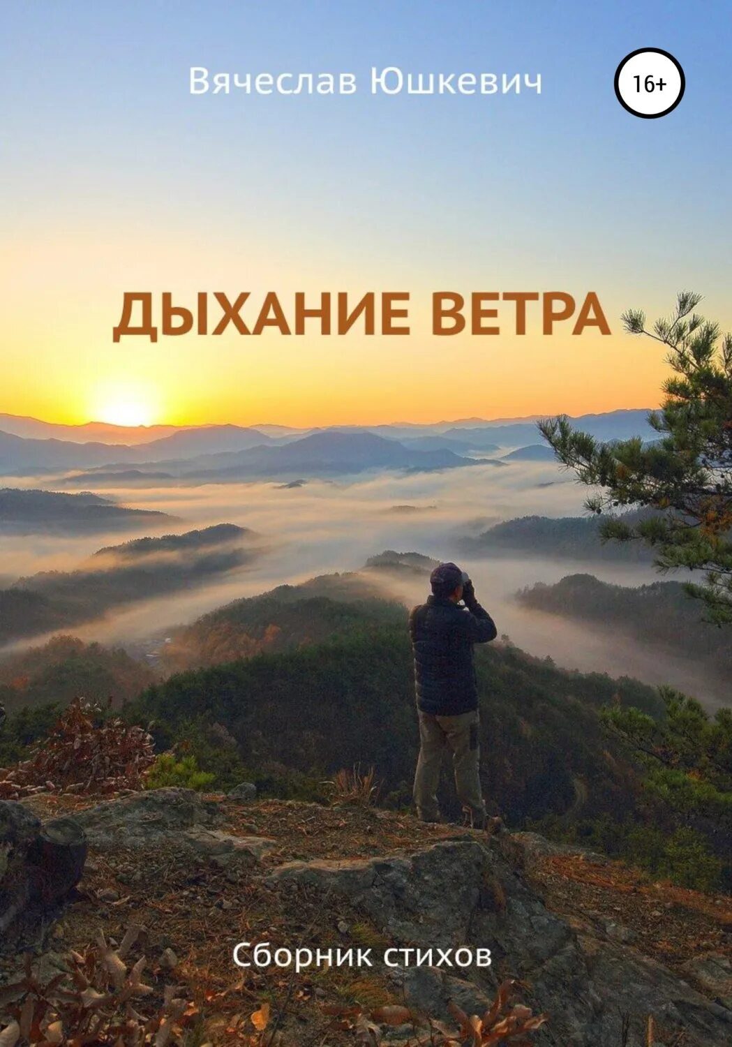 Дыхание ветра фестиваль. Фестиваль ветер сибири 2024. Фестиваль дыхание ветра. Игры с ветром. Дыхание ветра фестиваль.