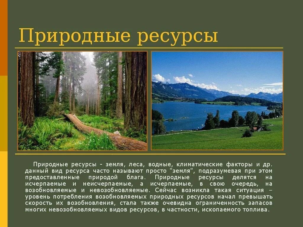 Природные ресурсы. Разнообразие природных ресурсов России. Природные богатства земли. Естественные природные ресурсы. Как использовать богатство леса