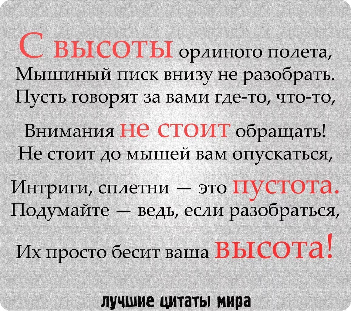 Фразы фенга. Высказывания про сплетников. Афоризмы про сплетников и завистников. Афоризмы про сплетни. Высказывания про сплетни.