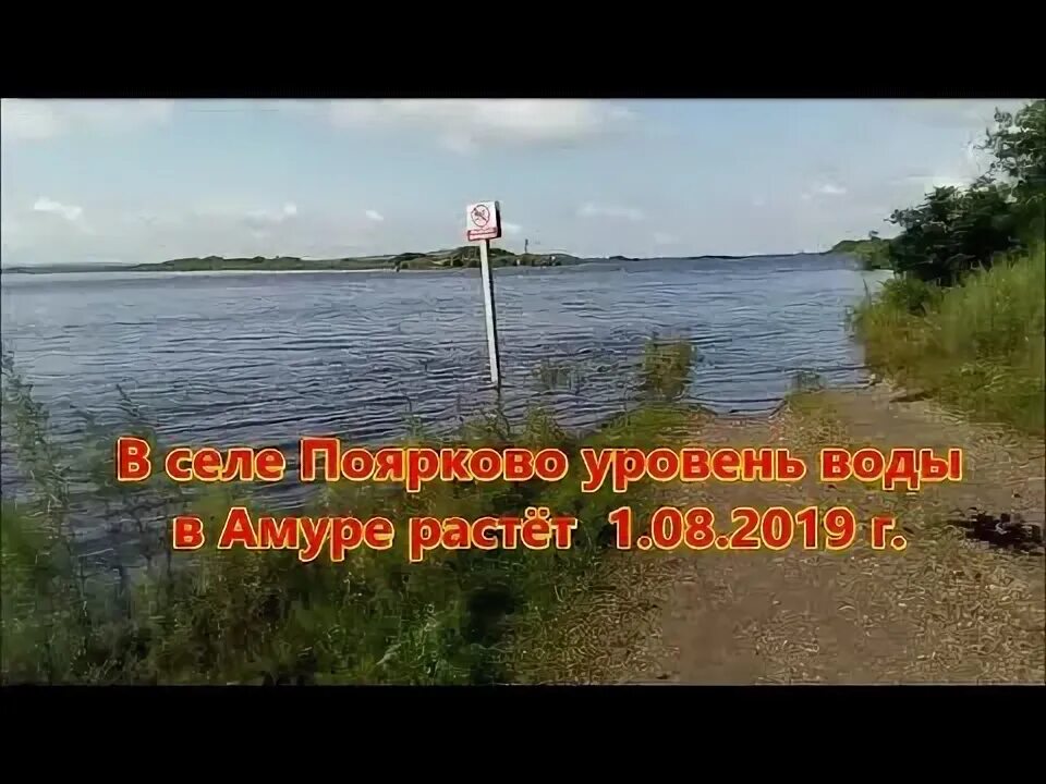 Село Поярково Амурской области. Река Амур Поярково. Уровень воды в Амуре Поярково на 24.05 2022. Хабаровск Поярково. Погода на неделю поярково амурская