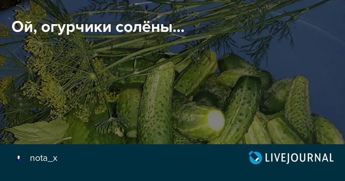 С днем малосольного огурчика. Этикетка огурцы соленые. С днем соленого огурца. С днем малоосльного огурцы. Песня про огурчики