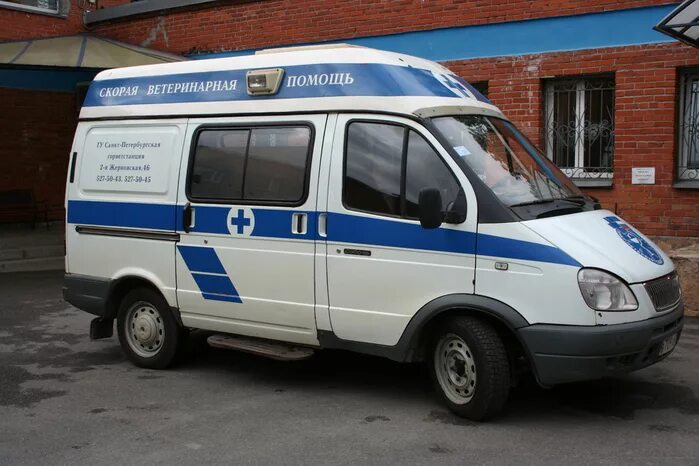 машина ветпомощь. скорая ветпомощь. скорая ветпомощь. машина скорой ветеринарной помощи. скорая ветпомощь.
