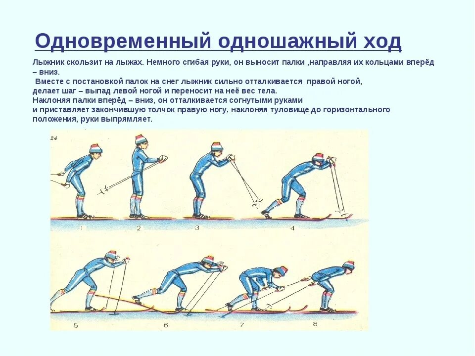 Квалификация ходов. Попеременный одношажный ход. Попеременный одношажный ход на лыжах. Попеременно одношажный ход на лыжах техника. Одновременный одношажный ход на лыжах порядок.