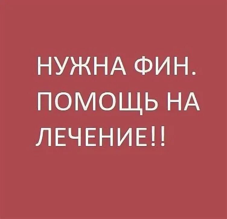 Фин помощь. Нужна фин помощь. Нужна фин помощь. Нужна финансовая помощь. Срочно нужна финансовая помощь.