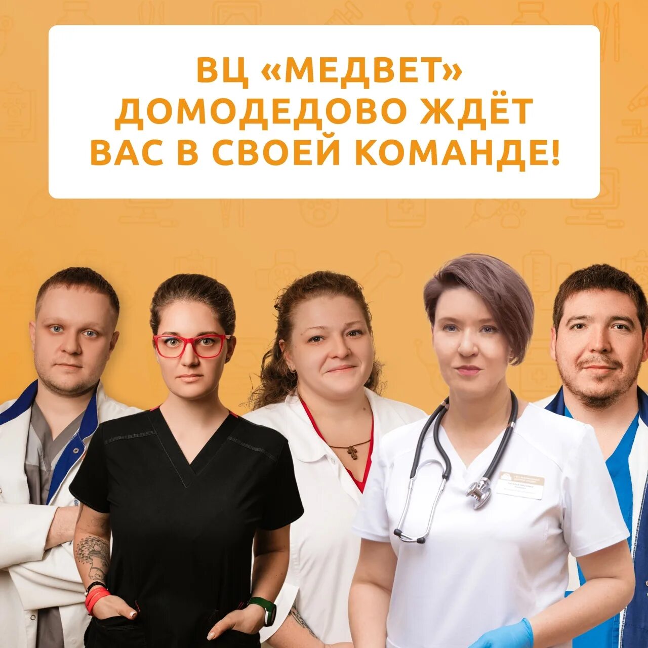 Медвет троицк. Медвет белгород. Медвед ветклиника троицк. Медвет89 салехард. Медвет троицк отзывы.