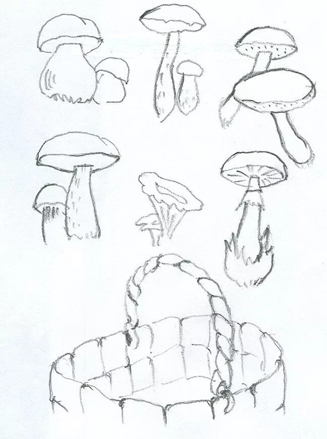 Рисование грибы. Грибы карандашом. Грибок рисунок карандашом. Гриб рисунок. Грибы поэтапно