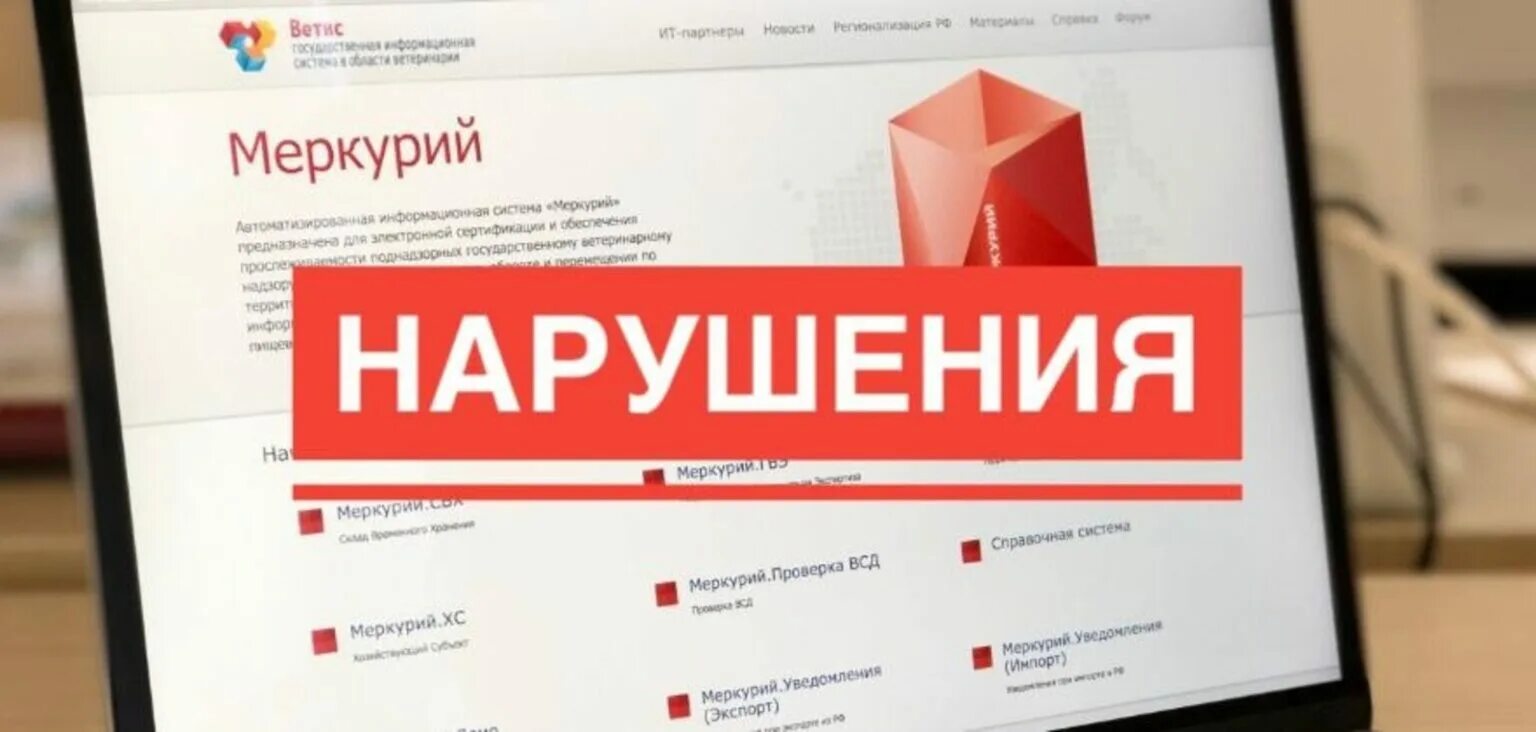 Специалист по меркурию вакансии
