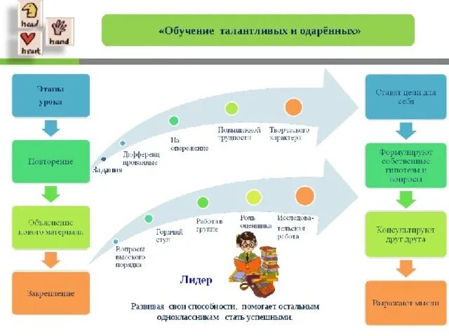 Модули обучения. Стратегии обучения одарённых детей. Учеба по модулям. Программа семи модулей обучения.