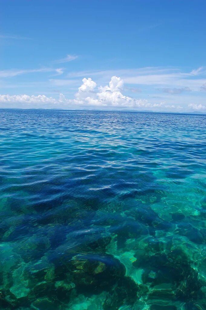 Кристальное море. Голубое море. Море кристально чистое голубое. Море Кристальная вода и солнце.