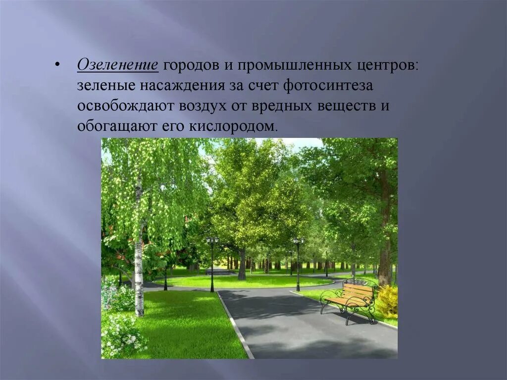 Озеленение городов и промышленных центров. Озеленение презентация. Озеленение города. Презентацию по озеленению города. Роль зеленых насаждений в городе