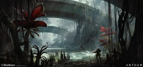 Environment username