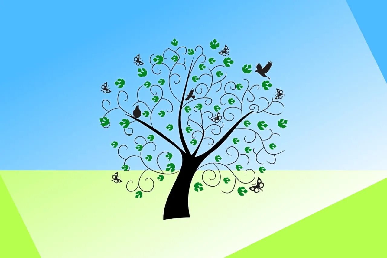 Женева платаны. Тесты по картинкам выбрать картинку. Тест выбери. Психологический тест выбери дерево. Приложение для распознавания деревьев.