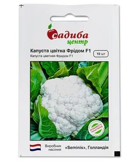Цветная капуста голландские сорта