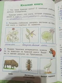 Окружающий мир 1 класс готовые задания