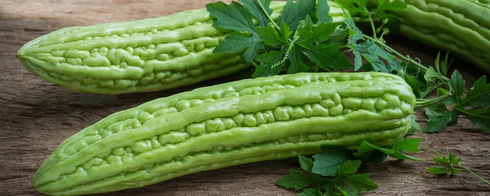 Горькая дыня фото Bitter Melon (with path) stock photo. Image of white, cuisine 3143414