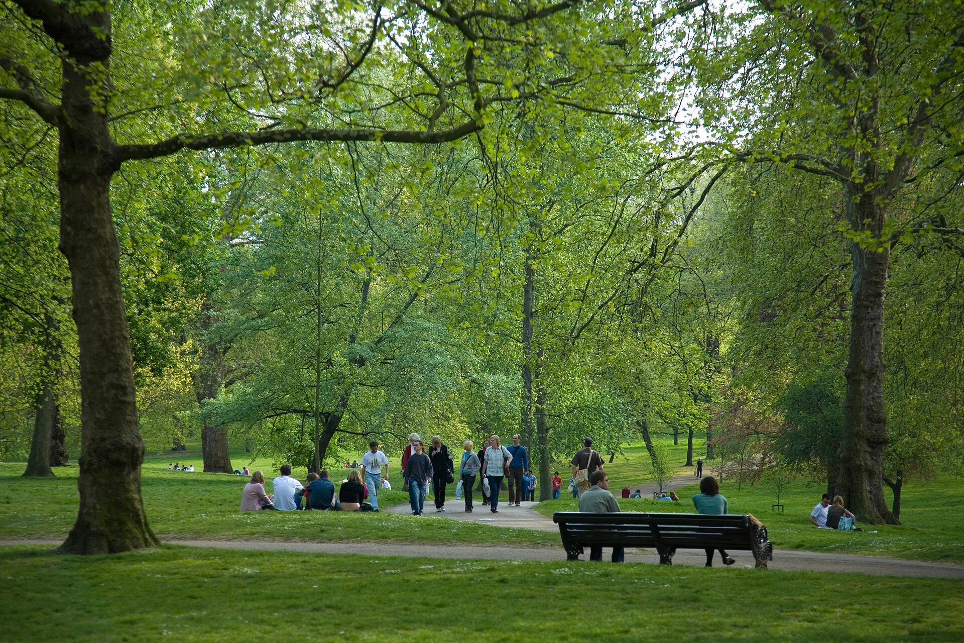 Park. Грин парк Лондон. Школа Грин-парк Англия. Грин парк сент Джеймс парк Лондон. Парк Грин-парк фото Лондон.