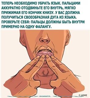 Как свистеть как соловей