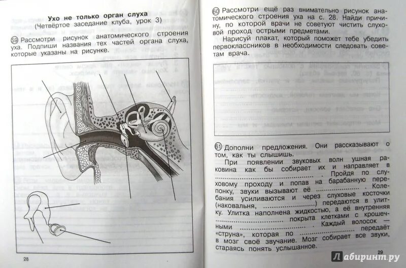 Окр мир федотова. Тетрадь для самостоятельных работ. Тетрадь по окружающему миру для самостоятельных работ. Рабочая тетрадь по окружающему миру 4 класс 2 часть Федотова. Окружающий мир 4 класс Федотова.