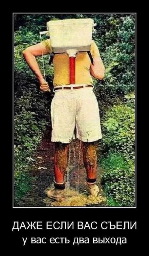 даже если вас съели. даже если вас съели. даже если вас съели у вас есть два выхода. даже если тебя съели у тебя есть два выхода. даже если вас съели у вас есть два выхода картинка.