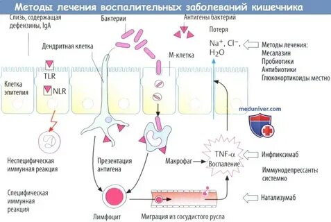 От инфекции в кишечнике лекарства