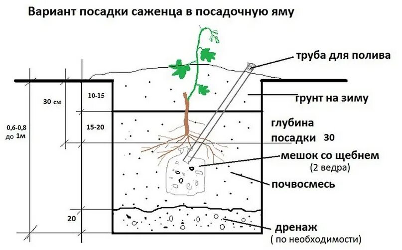 На какую глубину человек