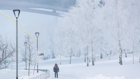 Якутия новосибирск
