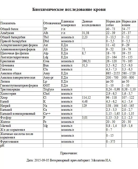 Биохимия крови обозначения расшифровка