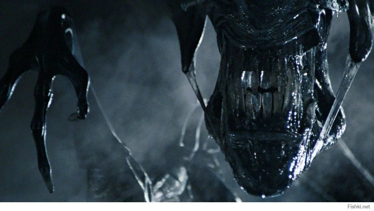 Чужой 1979 ксеноморф. Слюни чужого. Слюни чужого. Слюни чужого. Слюни чужого.