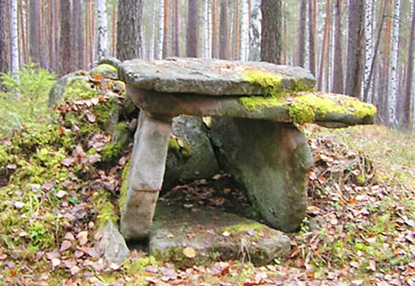 Этнопарк екатеринбург серовский. Шитовской толстик. Парк. Этнографический парк «добродея». Этнопарк земля предков свердловская область.