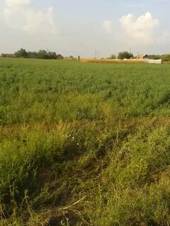 Продам участок ростовская область