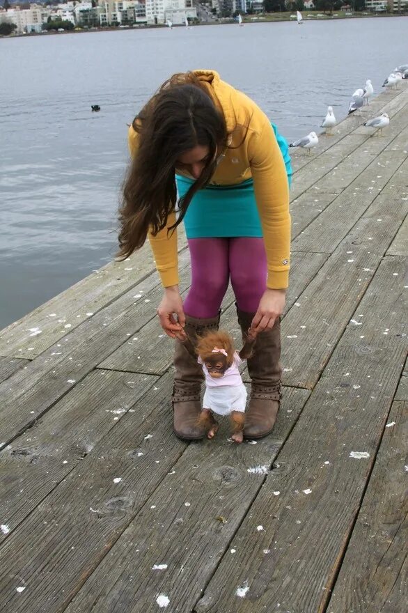 Внимание произошло что то странное. Картинки с надписями. Штуковина. Странные надписи. На меня нашло то странное.