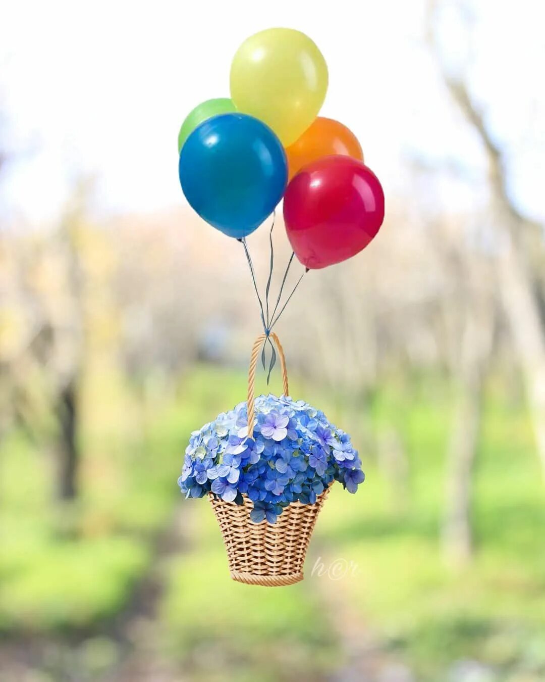 Воздушный шарик. Цветы и шарики. Красивые воздушные шарики. Цветы в шарике воздушном.