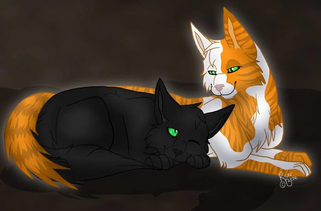 коты воители остролистая и лис. листопад коты. листопад коты воители вики. коты воители арты silverzoul. коты воители остролистая и лис.