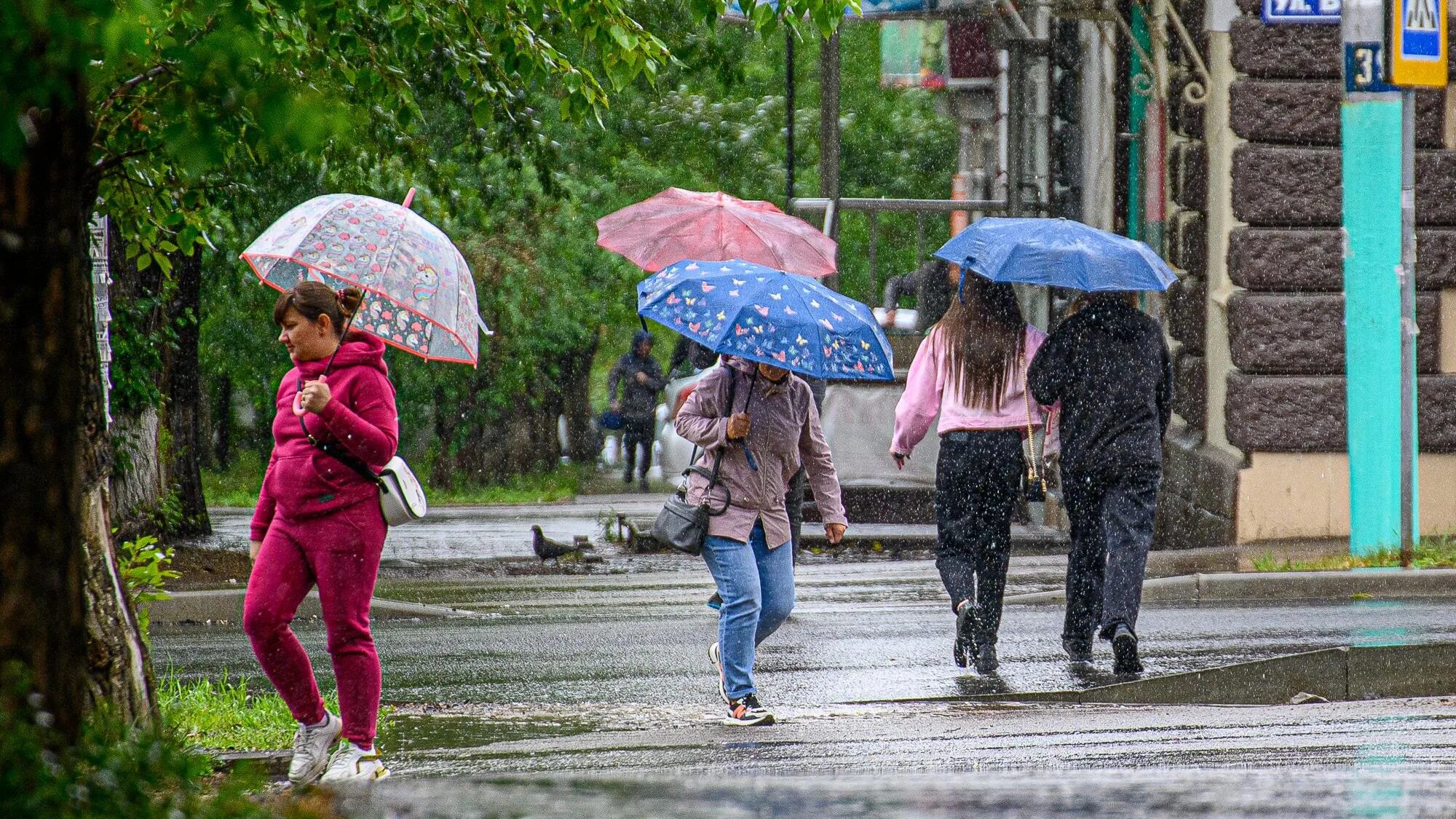 Дождливое лето. Дождливая погода картинки. Летний дождь в городе фото. Россия дождь в июле фото. Погода кемерово 3 дня почасовая