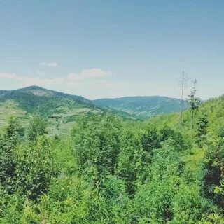 Сережа гора