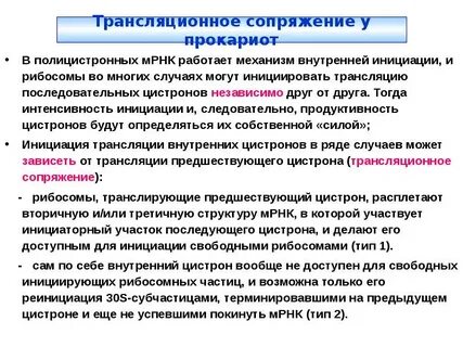 Полицистронная рнк